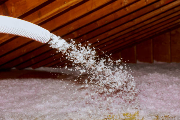 Types of Insulation We Offer in Orcutt, CA