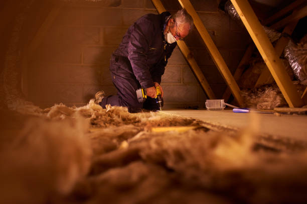 Best Cellulose Insulation in Orcutt, CA